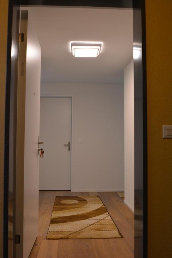 Great New Apartment Surrounded By Nature. Schattdorf Exterior foto